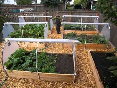 backyard vegetable garden design